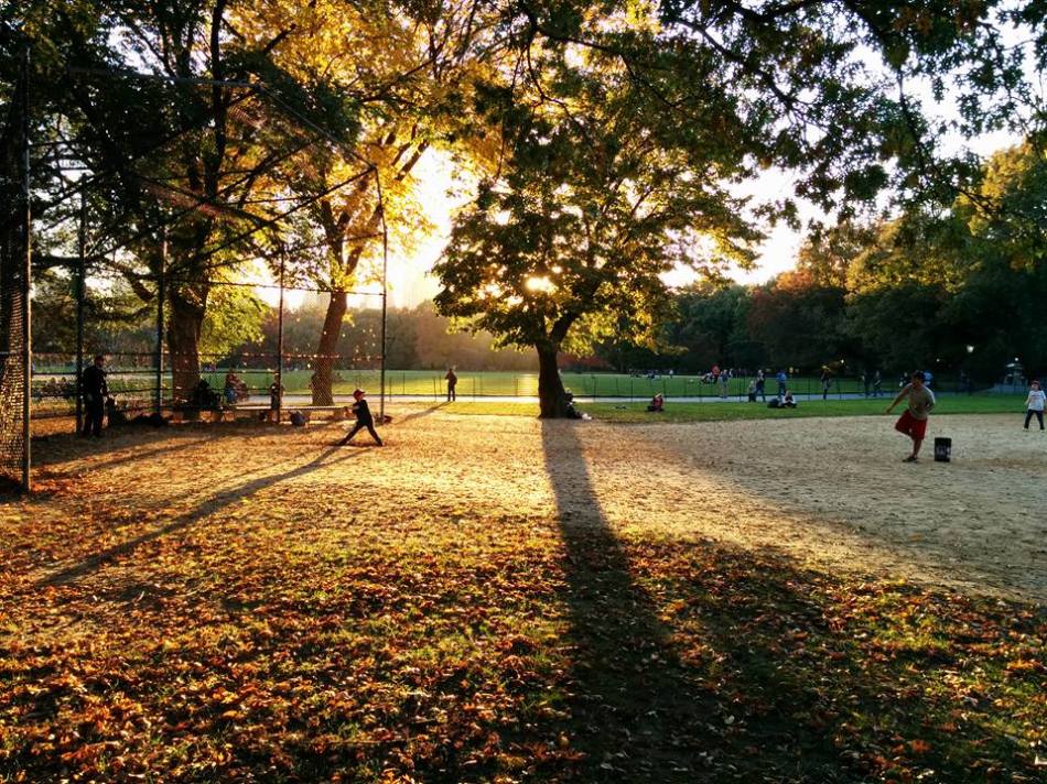 Central Park, New York